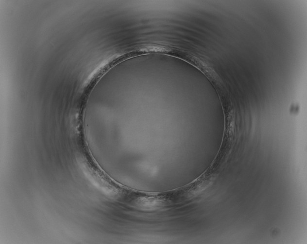 X0000113590351200910021723