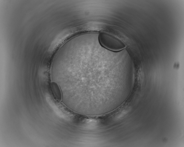 X0000113590352200910021723