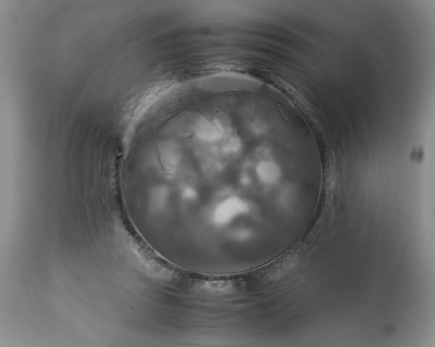 X0000113590353200910021723