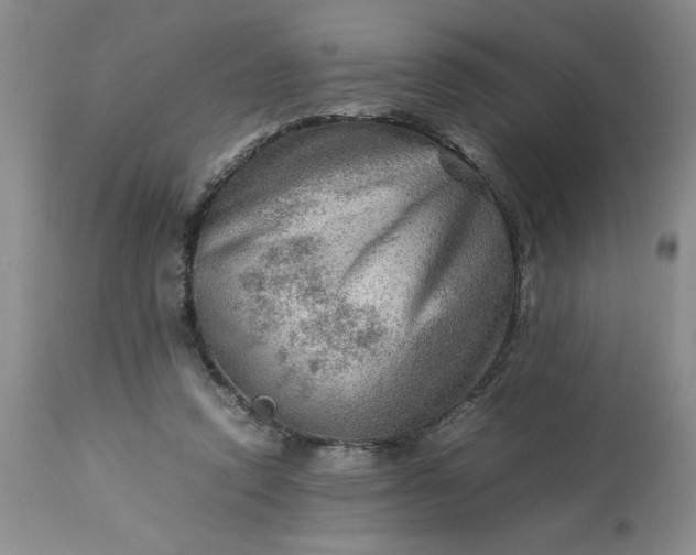 X0000113590354200910021723