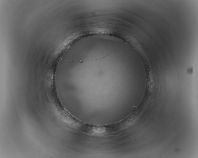 X0000113590355200910021723