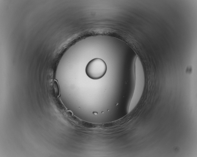 X0000113590356200910021723