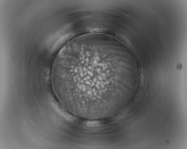 X0000113590357200910021723