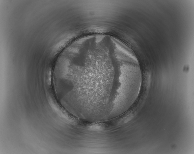 X0000113590358200910021723