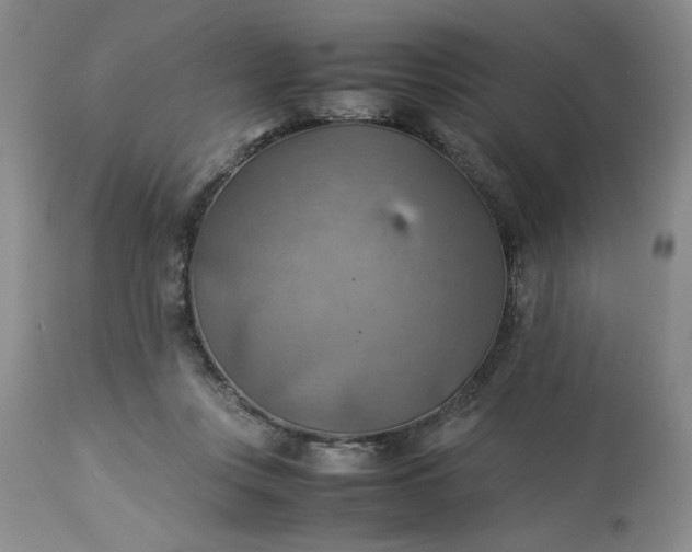 X0000113590359200910021723