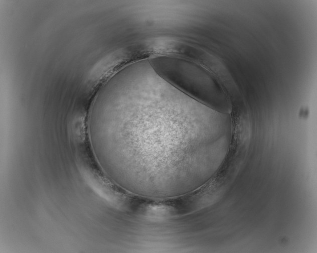 X0000113590360200910021723