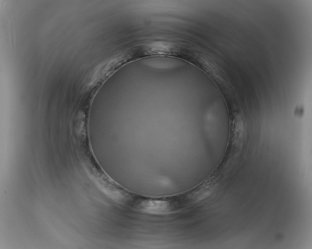 X0000113590361200910021723