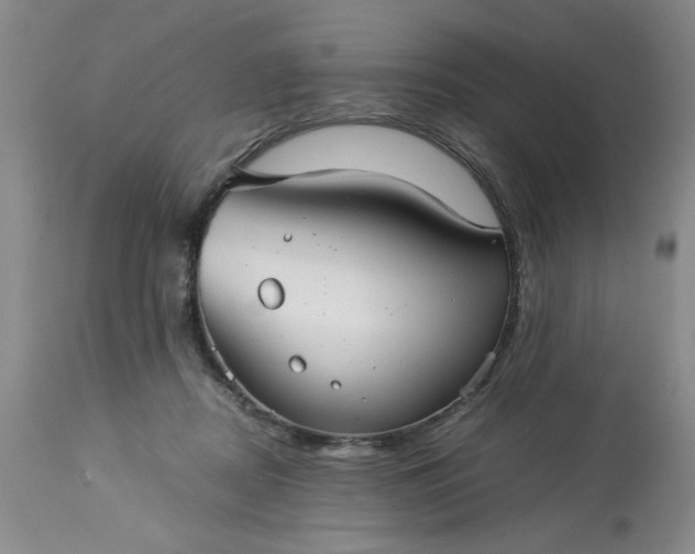 X0000113590362200910021723