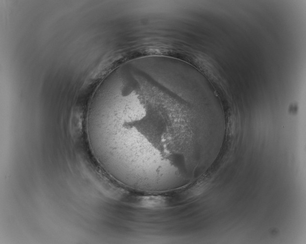 X0000113590363200910021723