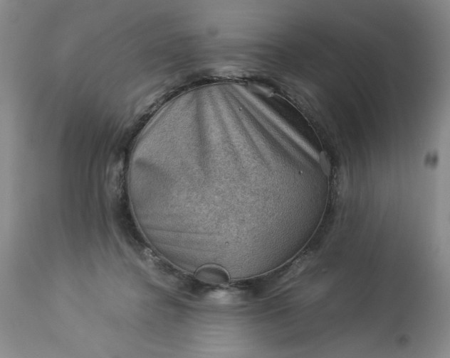 X0000113590364200910021723