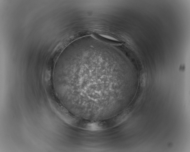 X0000113590365200910021723