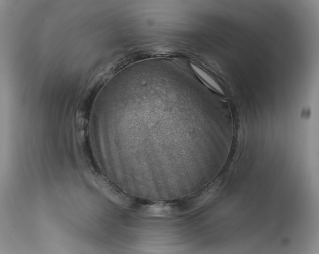 X0000113590366200910021723