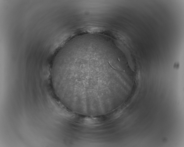 X0000113590367200910021723