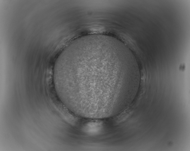 X0000113590369200910021723