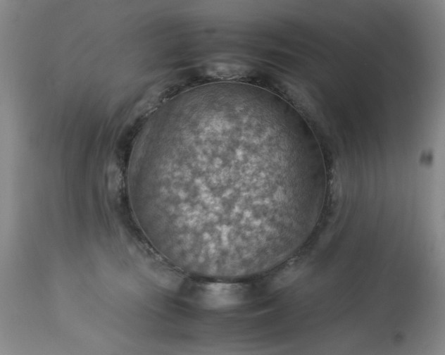 X0000113590371200910021723