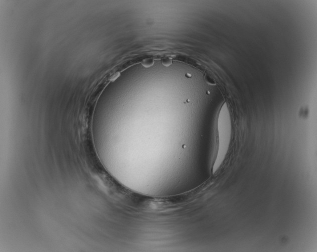 X0000113590372200910021723