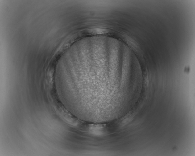 X0000113590373200910021723