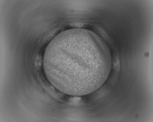 X0000113590374200910021723