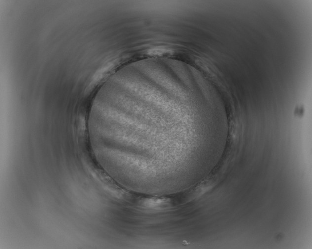 X0000113590375200910021723