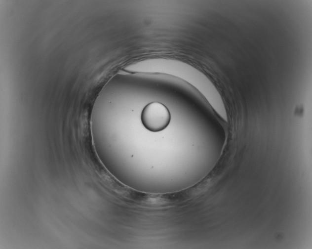 X0000113590376200910021723