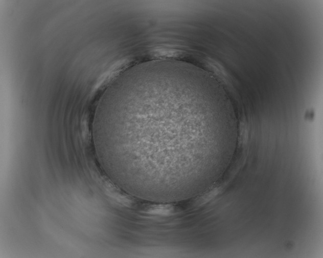 X0000113590377200910021723