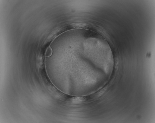 X0000113590378200910021723