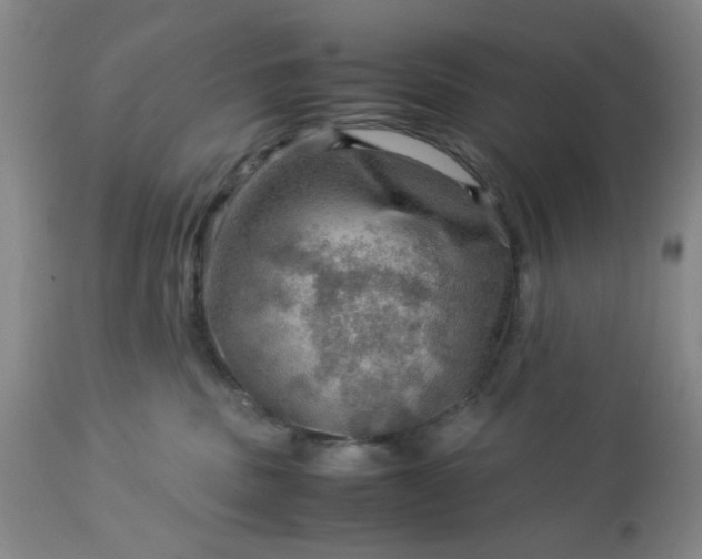 X0000113590379200910021723