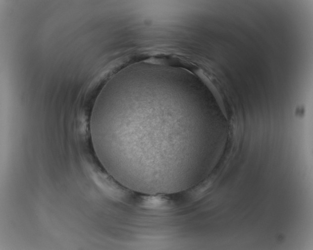 X0000113590380200910021723