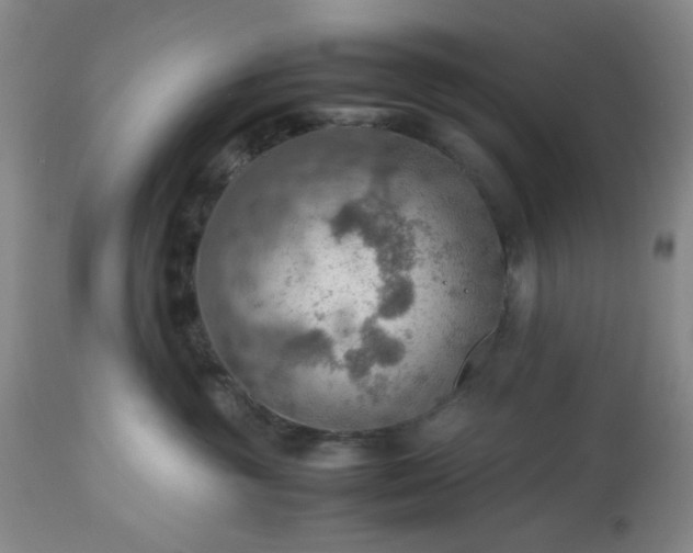 X0000113590381200910021723