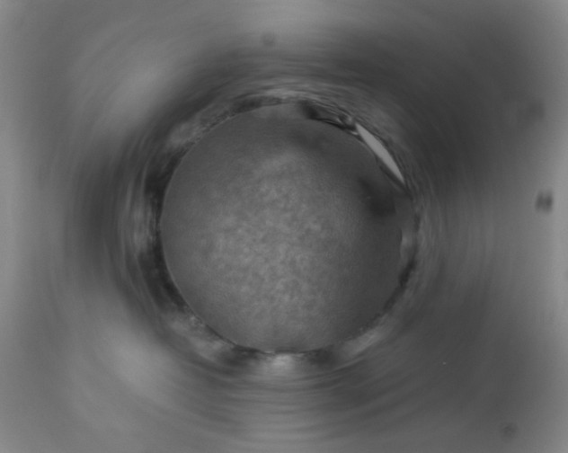 X0000113590382200910021723