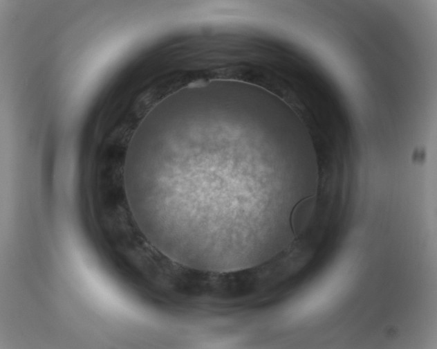 X0000113590383200910021723