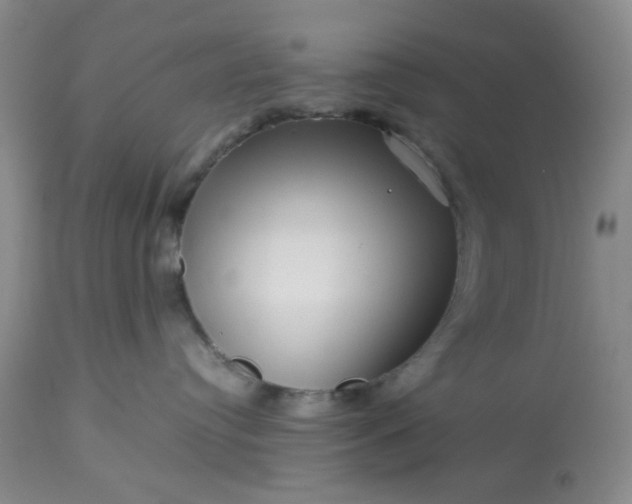 X0000113590384200910021723