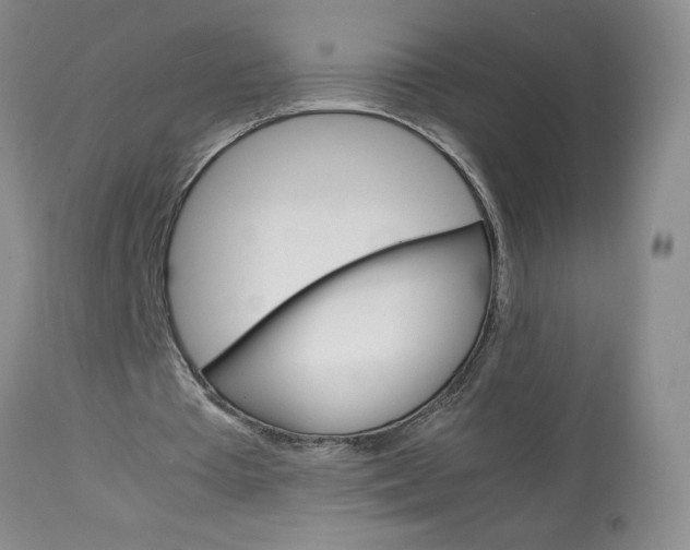 X0000113590385200910021722