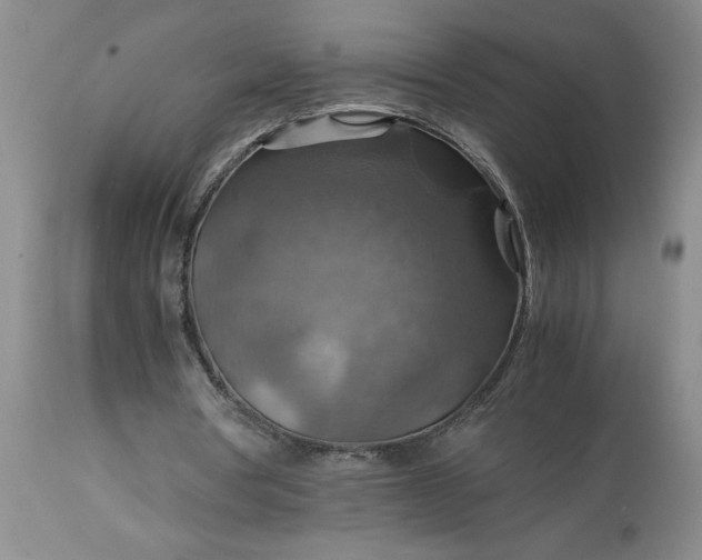 X0000113590386200910021722