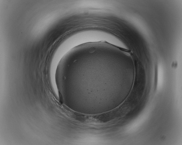 X0000113590387200910021722