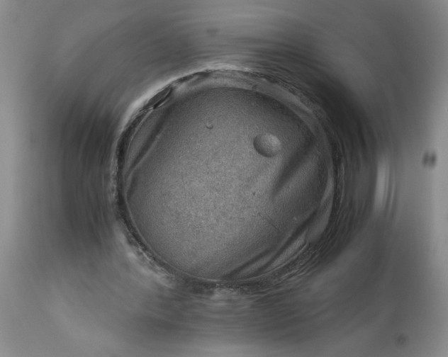 X0000113590388200910021722