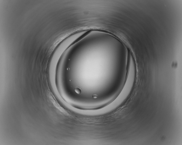 X0000113590389200910021722