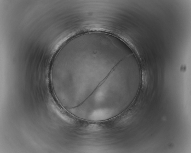 X0000113590390200910021722