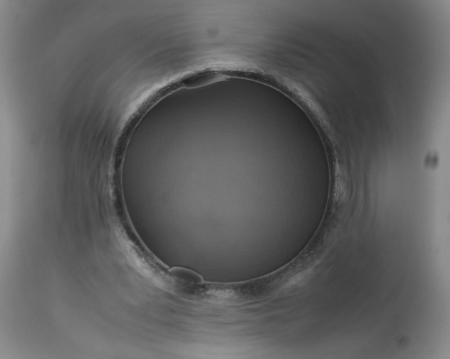 X0000113590391200910021722