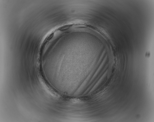 X0000113590392200910021722