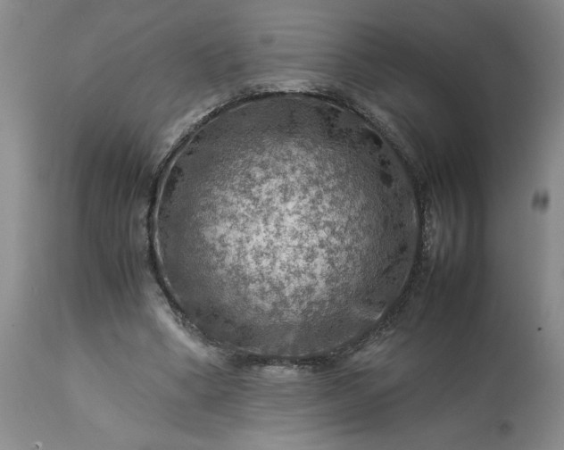 X0000113590394200910021722