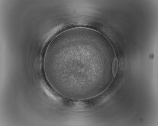 X0000113590395200910021722