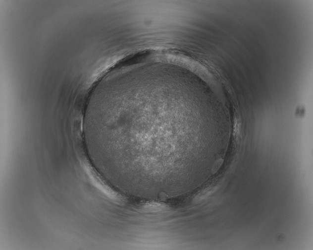 X0000113590397200910021722