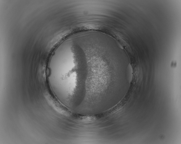 X0000113590398200910021722