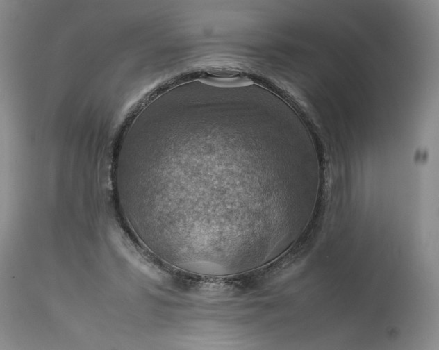 X0000113590399200910021722