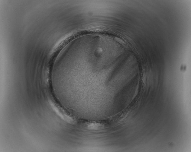 X0000113590400200910021722