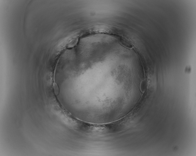 X0000113590401200910021722