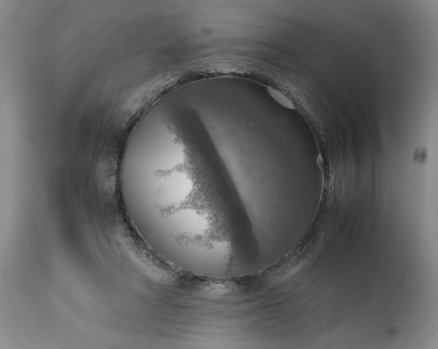 X0000113590402200910021722