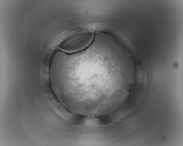 X0000113590403200910021722