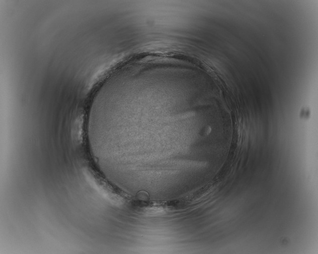 X0000113590404200910021722